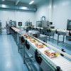 Производственные линии по переработке продуктов питания «под ключ»